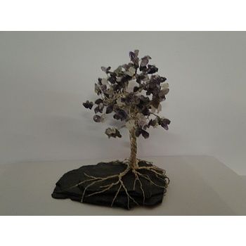Steinbäumchen violett